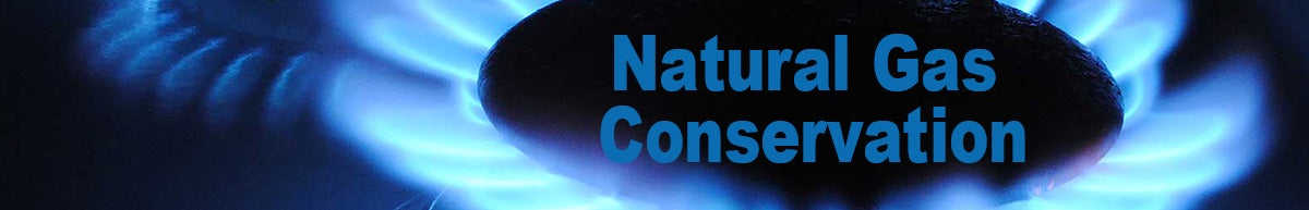 NaturalGas